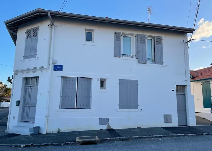 La Chouette Du Marion *