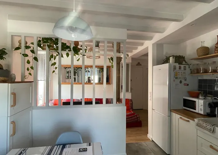 La Chouette Du Marion *